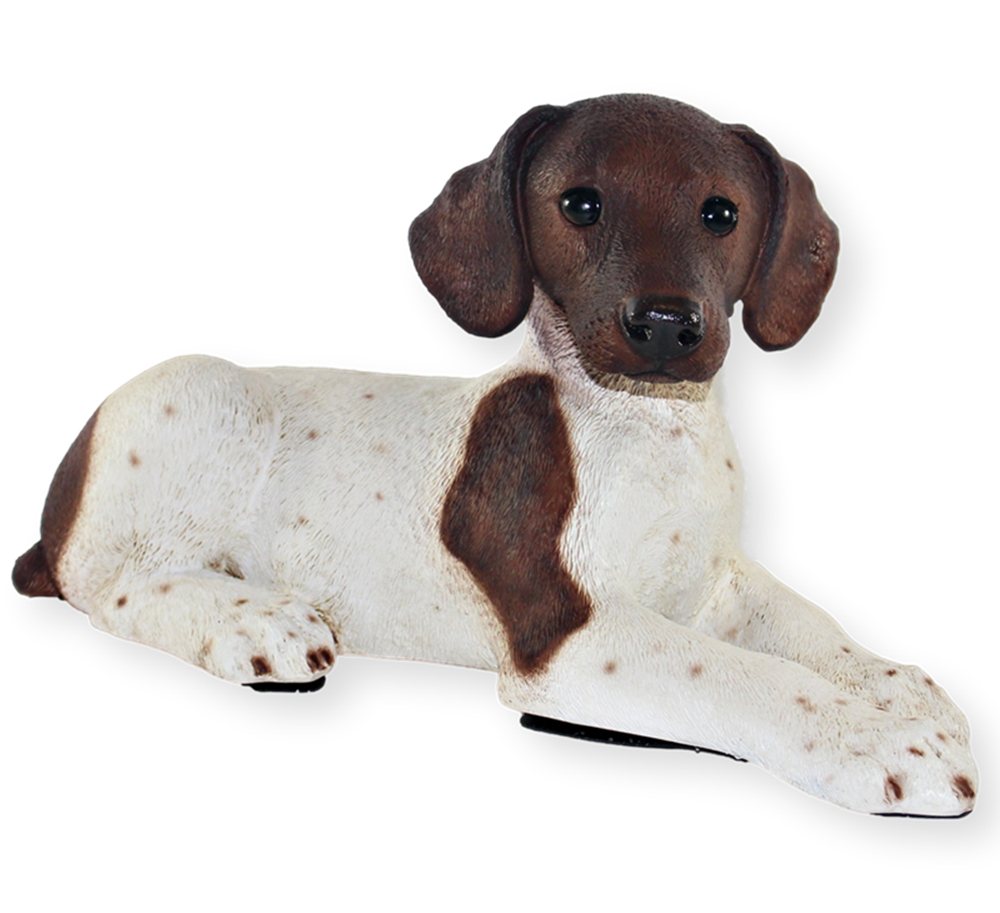 Castagna Tierfigur Figur Hund englischer Pointer Hundefigur liegend braun gefleckt Kollektion Castagna Resin H 18 cm von Castagna