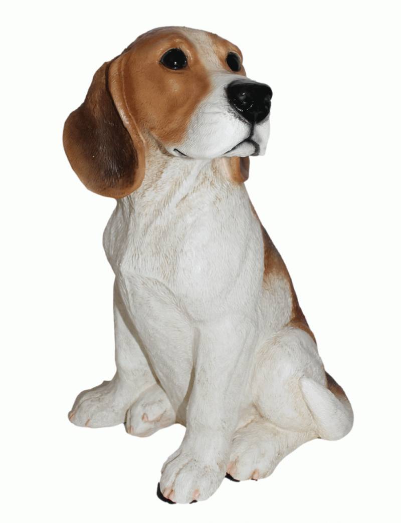 Deko Figur Hund britischer Beagle Adult Hundefigur sitzend Kollektion Castagna aus Resin H 31 cm von Castagna