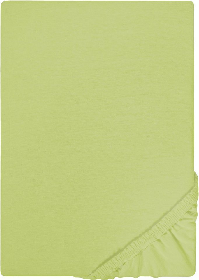Castell - Markenbettwäsche Spannbettlaken Jersey in Gr. 90x200, 140x200 oder 180x200 cm, Jersey, Gummizug: rundum, (1 Stück), aus Baumwolle, für Matratzen bis 22 cm Höhe, Bettlaken, Spannbetttuch von Castell - Markenbettwäsche