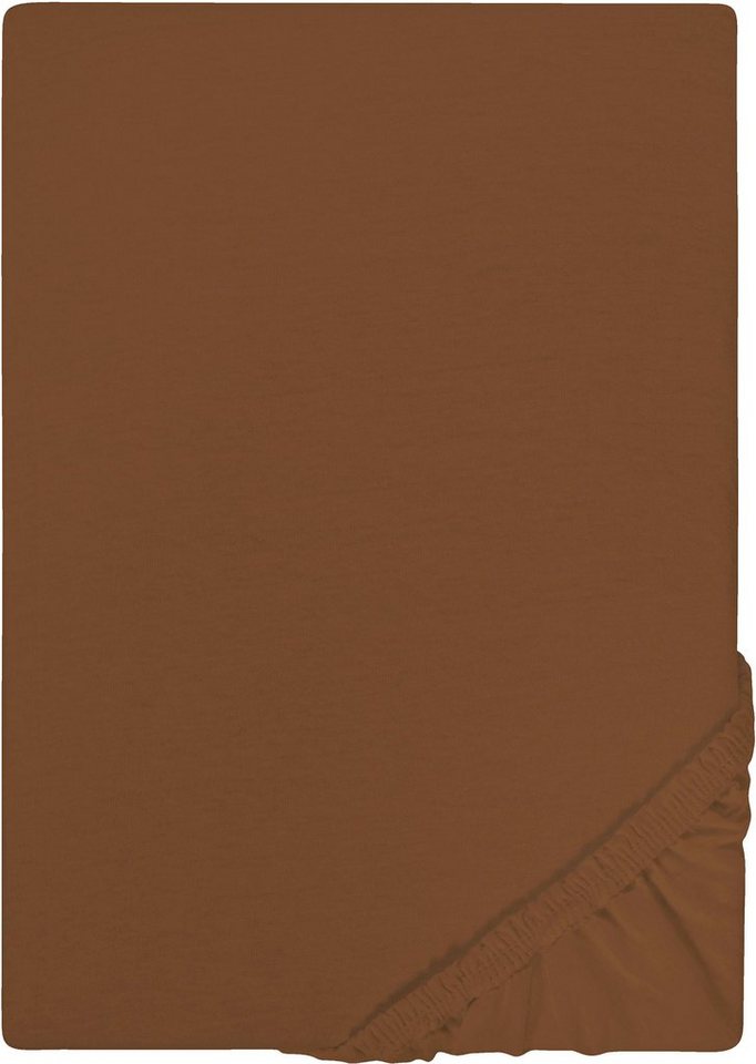 Castell - Markenbettwäsche Spannbettlaken Jersey in Gr. 90x200, 140x200 oder 180x200 cm, Jersey, Gummizug: rundum, (1 Stück), aus Baumwolle, für Matratzen bis 22 cm Höhe, Bettlaken, Spannbetttuch von Castell - Markenbettwäsche