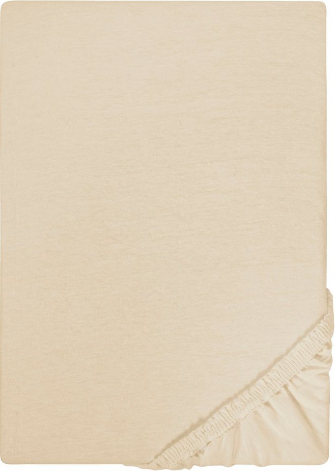 Spannbettlaken Jersey in Gr. 90x200, 140x200 oder 180x200 cm, Castell - Markenbettwäsche, Jersey, Gummizug: rundum, (1 Stück), aus Baumwolle, für Matratzen bis 22 cm Höhe, Bettlaken, Spannbetttuch von Castell - Markenbettwäsche