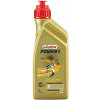 Castrol - 2-Takt Motoröl Power 1 2T 1L Motoröle von Castrol