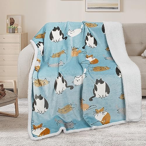 Catalonia Classy Sherpa Decke Katze Blau Kuscheldecken, Extra Dicke Warm Sofadecke Couchdecke in zweiseitig, Super Flausch Fleecedecke als Sofaüberwurf oder Wohnzimmerdecke 150x130cm Catalonia Classy Sherpa Decke Katze Blau Kuscheldecken, Extra Dicke Warm Sofadecke Couchdecke in zweiseitig, Super Flausch Fleecedecke als Sofaüberwurf oder Wohnzimmerdecke 150x130cm von Catalonia Classy