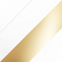 Catellani & Smith Lederam Manta CWS1 Wand- / Deckenleuchte weiß/weiß, Stange: Gold, Scheibe: weiß von Catellani & Smith