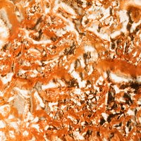 Catellani & Smith Stchu-Moon 01 Bodenleuchte Ø: 60 cm, schwarz / Kupfer von Catellani & Smith