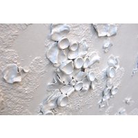 Flechten Kunst - Strukturierte Dimensionale Wandkunst, Weiße Natur Wohnkultur Flechten Kunst - Strukturierte Dimensionale Wandkunst, Weiße Natur Wohnkultur von CathySavelsArt