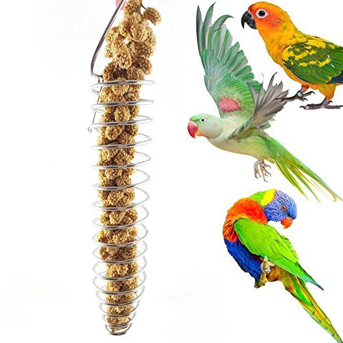 Catkoo Vogelzubehör, tragbar, Edelstahl, spiralförmig, für Vögel, Papageien, Haustiere, Obst, Spielzeug – Silber von Catkoo