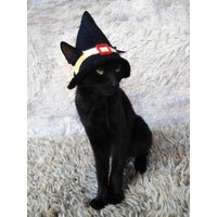Hexenhut Für Katze, Haustierkostüm, Katzen Halloween Kostüm, Haustier Hexen Outfit, Geschenk Haustierliebhaber, Kostüm Haustiere von CatsInHatsShop