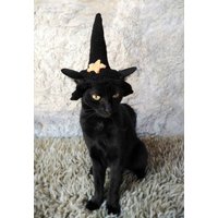 Schwarzer Hexenhut Für Katze, Haustierkostüm, Katze Halloween Kostüm, Haustier Hexen Outfit, Geschenk Haustierliebhaber, Halloweenkostüm Haustiere von CatsInHatsShop