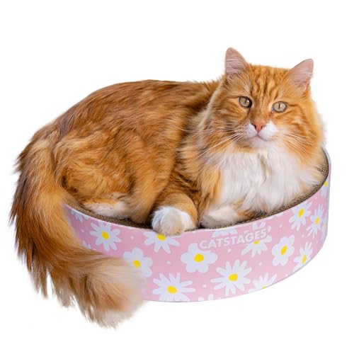Catstages Scratch & Snuggle Kratzbaum und Liege, gewellt, Gänseblümchen, Rosa Catstages Scratch & Snuggle Kratzbaum und Liege, gewellt, Gänseblümchen, Rosa von Catstages