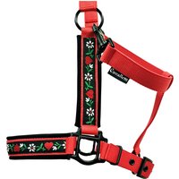 Halfter Kaltblut "Heidi" Personalisierbar Pferdehalfter Mit Name Größe Rot von Cavalletti4Horses