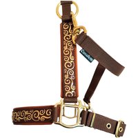 Halfter Kaltblut "Lancelot" Personalisierbar Pferdehalfter Größe Gold Braun Pferd Mit Name von Cavalletti4Horses