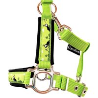 Halfter Mini Shetty "Charlie" Neongrün Pferdehalfter Größe Neon Grün Softshell Fleece Poslterung Halfter Mini Shetty "Charlie" Neongrün Pferdehalfter Größe Neon Grün Softshell Fleece Poslterung von Cavalletti4Horses