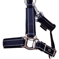 Halfter Mini Shetty "Reflektor" ~ Halter Pferdehalfter Reflektor Pony Halfter Mini Shetty "Reflektor" ~ Halter Pferdehalfter Reflektor Pony von Cavalletti4Horses