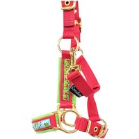 Halfter Mini Shetty "Rotkäppchen" Gold Oder Silberfarbene Beschläge Pferdehalfter Größe Rotkäppchen Rot Halfter Mini Shetty "Rotkäppchen" Gold Oder Silberfarbene Beschläge Pferdehalfter Größe Rotkäppchen Rot von Cavalletti4Horses