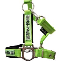 Halfter Mini Shetty "Wiesn Chef" Pferdehalfter Größe von Cavalletti4Horses