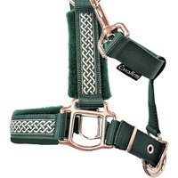 Halfter Shetty "Merlin" Pferdehalfter Mit Name Personalisierbar Grün Halfter Shetty "Merlin" Pferdehalfter Mit Name Personalisierbar Grün von Cavalletti4Horses