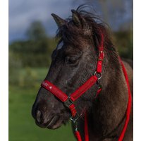 Halfter Vollblut/Cob "sternenglanz Rot" Personalisierbar Pferdehalfter Größe Glitzer Rot Halfter Vollblut/Cob "sternenglanz Rot" Personalisierbar Pferdehalfter Größe Glitzer Rot von Cavalletti4Horses