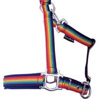 Halfter Warmblut "Regenbogen" Pferdehalfter Größe Full Regenbogen Pferdehalter Bunt Halfter Warmblut "Regenbogen" Pferdehalfter Größe Full Regenbogen Pferdehalter Bunt von Cavalletti4Horses