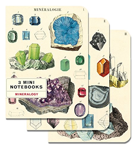 Cavallini Papers & Co., Inc. Mineralogy Mini-Notizbücher, 10,2 x 14 cm von Cavallini