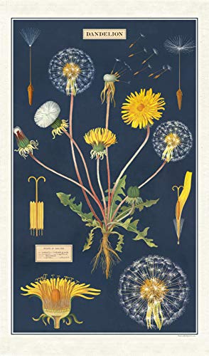 Dandelion Tea Towel von Cavallini