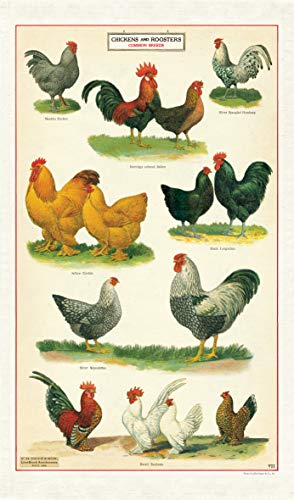 Cavallini Papers & Co. Geschirrtuch, Hühner-Motiv, Mehrfarbig von Cavallini