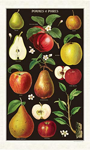 Cavallini Papers & Co. Geschirrtuch, Motiv Äpfel und Birnen, Mehrfarbig von Cavallini