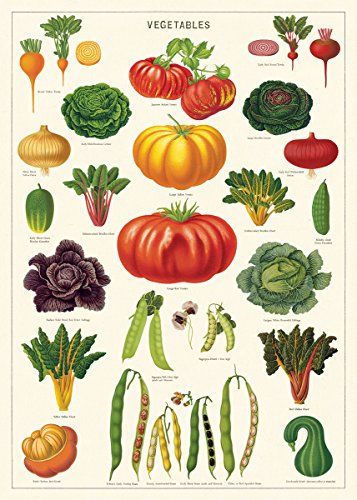 Cavallini Deko-Papier – Gemüsegarten 50,8 x 71,1 cm Bogen von Cavallini