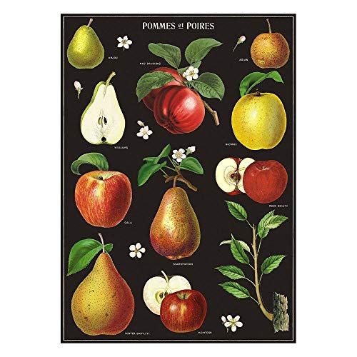 Cavallini Decorative Wrap Poster, Apple and Pears, 20 x 28 inch Italian Archival Paper (WRAP/Apple) von Cavallini