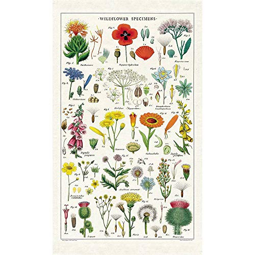 Cavallini Geschirrtuch, Vintage Tea Towels, Wildblumen, Blumenwiese von Cavallini