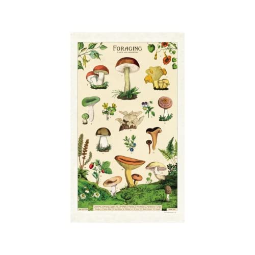 Cavallini Geschirrtuch für Futtersuche von CAVANILLI & CO.