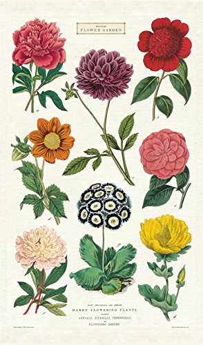Cavallini Papers Botanica Geschirrtuch, Mehrfarbig von CAVANILLI & CO.
