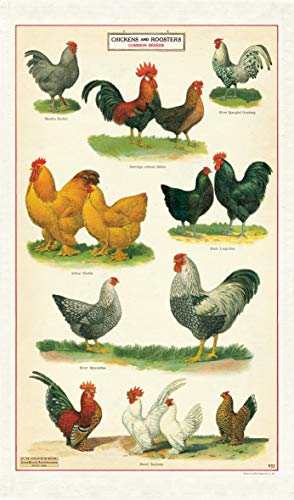 Cavallini Papers & Co. Geschirrtuch, Hühner-Motiv, Mehrfarbig von CAVANILLI & CO.
