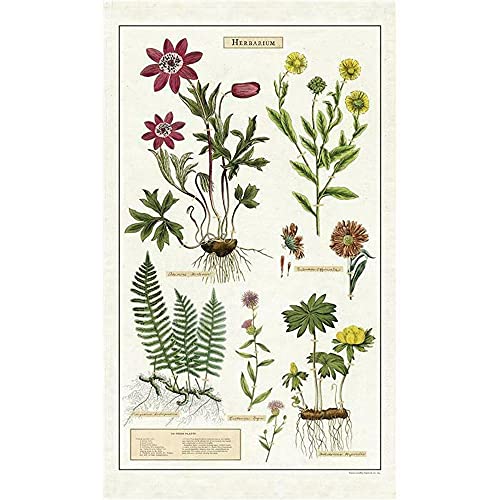 Cavallini Papers & Co. Herbarium Tea Towel Geschirrtuch, Natur von Cavallini