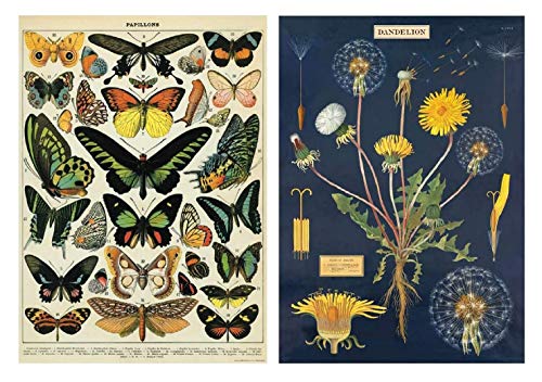Cavallini Wrap – Schmetterlinge & Pusteblume – 2 x Poster-Set – 50 x 71 cm von Cavallini