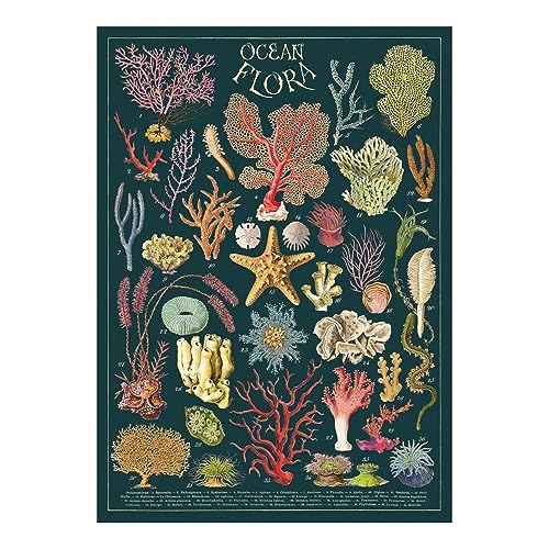 Cavallini & Co. Dekorative Papierfolie, Motiv: Ozeanflora, 50,8 x 71,1 cm von CAVANILLI & CO.
