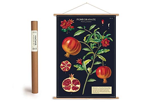 Vintage Poster Set mit Holzleisten (Rahmen) und Schnur zum Aufhängen, Motiv "Granatapfel" von Cavallini