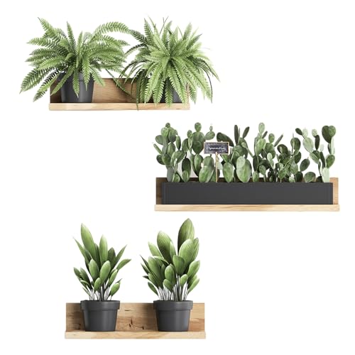 4 Stücke 3D Wanddekoration Pflanzen Wandsticker, Grünen Bonsai Wandaufkleber, Selbstklebend Topfpflanze Wandsticker Pflanzen Wandtattoo für Wohnzimmer Schlafzimmer Küche Wand Tür Fenster 4 Stücke 3D Wanddekoration Pflanzen Wandsticker, Grünen Bonsai Wandaufkleber, Selbstklebend Topfpflanze Wandsticker Pflanzen Wandtattoo für Wohnzimmer Schlafzimmer Küche Wand Tür Fenster von CavspkArt