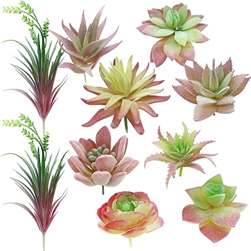 Cayway 10 Stück Künstliche Sukkulenten Rosa Unfotted Faux Blume Sukkulenten Sukkulenten Künstlich Gemischt für Zuhause Indoor Fairy Garden Dekorationen von Cayway