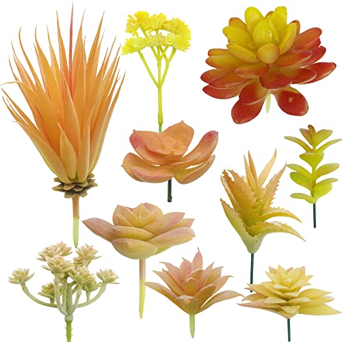 Cayway 10 Stück Sukkulenten Künstlich Gelb Künstliche Sukkulenten Blumen Pflanzen Unfotted Faux Blume Sukkulenten, Gelegentliche Künstliche Sukkulenten für Heimdeko Innenbereich Garten Cayway 10 Stück Sukkulenten Künstlich Gelb Künstliche Sukkulenten Blumen Pflanzen Unfotted Faux Blume Sukkulenten, Gelegentliche Künstliche Sukkulenten für Heimdeko Innenbereich Garten von Cayway