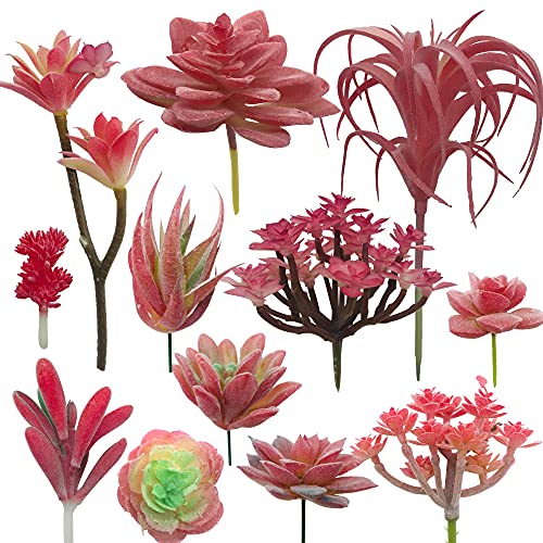 Cayway 12 Stück Künstliche Sukkulenten Rot Unfotted Faux Blume Sukkulenten Sukkulenten Künstlich Gemischt für Zuhause Indoor Fairy Garden Dekorationen von Cayway