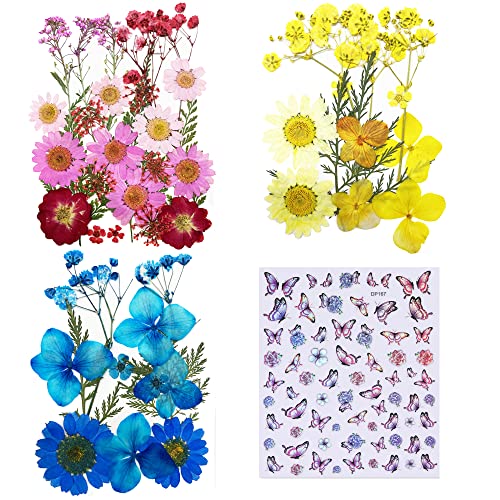 Cayway 4 Stil Echt Getrocknete Gepresste Blumen, DIY Getrocknete Gepresste Blätter DIY Gepresste Blumen Gemischte Getrocknete Blumen für Kunst Basteln DIY Harz Scrapbooking Handwerk von Cayway