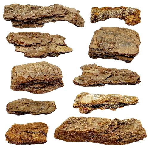 Cayway Diorama Supplies Kit, Modell Scenery Baumrinde Miniatur Rinde Diorama Materialien Miniatur Terrain, Mountain Rock Material Modell für Zug Landschaft Eisenbahn von Cayway