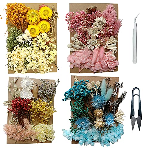 Cayway Natürlich Gepresste Getrocknete Blumen Natürlich Getrocknete Blätter Getrocknete Blumen Deko Gemischt mit Pinzette, Schere für Harz Kerzen Nagel DIY Dekor von Cayway