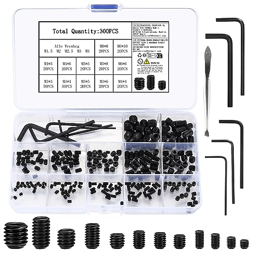 300 Stück Madenschrauben Set, M3/M4/M5/M6/M8 Innensechskant Gewindestifte Schrauben, Sechskantkopf Inbusschraube Schraube für Türgriff, Türklinke, mit Inbusschlüssel (M1,5/M2/M2,5/ M3/M4), von Cbofeixg