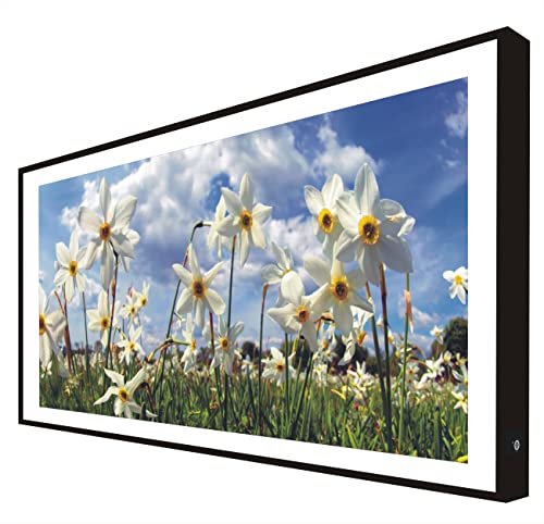 Ccretroiluminados Bild mit Holzrahmen, schwarz lackiert, mit LED-Licht, Blumen, Tulpenfeld von CCRETROILUMINADOS