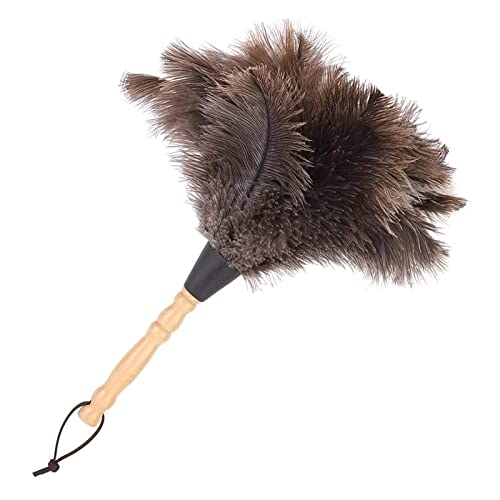 Cdemiy Staubwedel Straußenfedern, Straußenfeder Staubwedel mit Griff mit Gewinde, Ostrich Feather Duster für Zimmer, Wohnzimmer, Bücherregal (35 cm) von Cdemiy