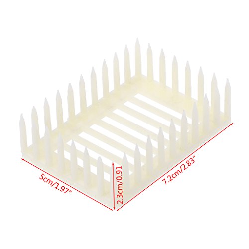 Bienenkäfig Imker Werkzeug Imkere Ausrüstung Bienenzucht Käfig Leicht Zu Bedienungshaltiger Kunststoff Zuverlässig Um Ameisenameisen Und Königin Ameisenkönigin Ameise Für Nest Feeder For Farms Toy von CeaBulo