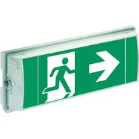 Ceag Notlichtsysteme Einzelbatterie-Leuchte IP65 68111-8h/DLEDCGLine+ - 40071354831 Ceag Notlichtsysteme Einzelbatterie-Leuchte IP65 68111-8h/DLEDCGLine+ - 40071354831 von Ceag Notlichtsysteme