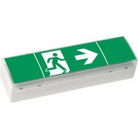 Ceag Notlichtsysteme LED-Einzelbatterie-Leuchte m.Prüftaster SV EURO4 LED 3h(SET) - 40071354775 von Ceag Notlichtsysteme